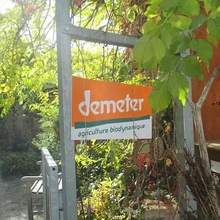 With 2 Bedrooms * Katzenthal